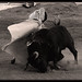 Veronica Varas Photo 6