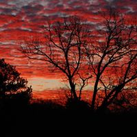 Paul Burks Photo 21