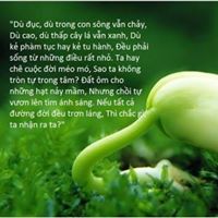 Kiet Trinh Photo 26