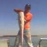 Jeff Stringer Photo 7