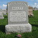 Henry Shepherd Photo 28
