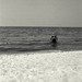 Donald Applegate Photo 18