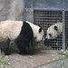 Sheng Lin Photo 6