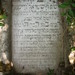 Samuel Weiner Photo 18