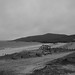 Bw Harris Photo 7