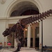 Sue Rex Photo 12