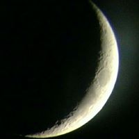 Paul Hart Photo 32
