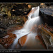Michael Ore Photo 30