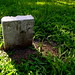 Mark Demoss Photo 18