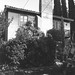 David Witmer Photo 36
