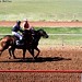 Anthony Downs Photo 21