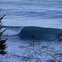 David Hester Photo 26