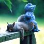 Debbie Albright Photo 20