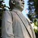 Albert Patterson Photo 35