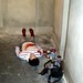 Susan Forman Photo 8