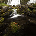 Jon Foss Photo 25