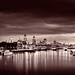 Neil Williams Photo 17