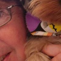 Cynthia Wolfe Photo 19