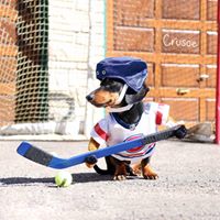Heidi Cooley Photo 10