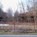 Elizabeth Douglass Photo 29