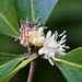Tracey Webb Photo 40