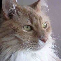Roberta Fisher Photo 6
