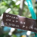 David Ulmer Photo 34