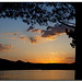 Cheryl Lakes Photo 15