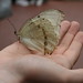 Christopher Krohn Photo 24