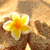 Brooke Fields Photo 14