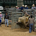 Phillip Todd Photo 36