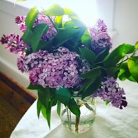 Kathleen Nickerson Photo 7