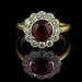 Ruby Shanks Photo 12
