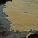 Michelle Lesser Photo 13