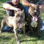 John Ortego Photo 11
