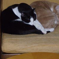 Karen Slagle Photo 14