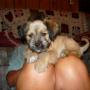 Tracy Hartman Photo 4