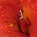 Stephanie Brown Photo 26