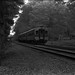 Marc Garrett Photo 19