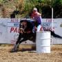 Roberta Paul Photo 12