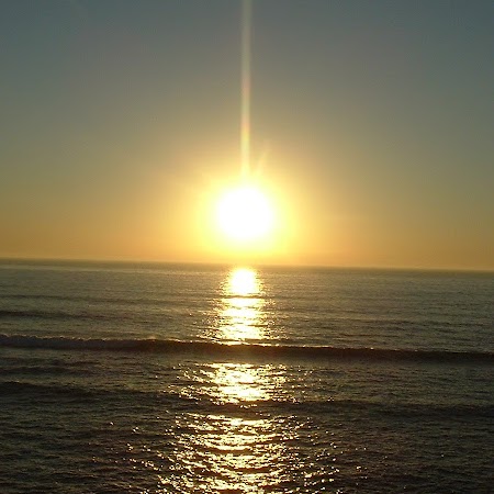 Kelly Robb Photo 6