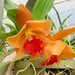 Shirley Moore Photo 42