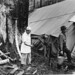 Gerald Cook Photo 24
