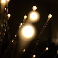 Cheng Sun Photo 27