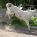 Fred Crow Photo 9