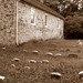 John Pennypacker Photo 16