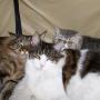 Mary Blankenship Photo 29