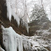 Steven Poling Photo 13