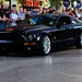 David Rider Photo 42