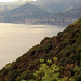 Rocco Macchia Photo 2